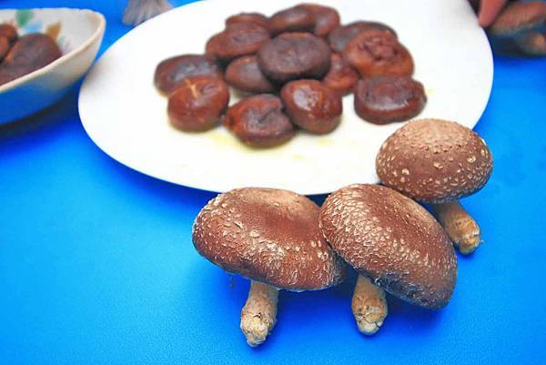 【仙台、山形縣五天四夜自由行程】美食餐廳、在地人文旅遊景點、庭園式景點、、河上芭蕉船、輕遊腳踏車、、必玩水族館、住宿飯店完整行程規劃懶人包