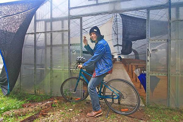 【仙台、山形縣五天四夜自由行程】美食餐廳、在地人文旅遊景點、庭園式景點、、河上芭蕉船、輕遊腳踏車、、必玩水族館、住宿飯店完整行程規劃懶人包