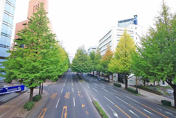 【仙台、山形縣五天四夜自由行程】美食餐廳、在地人文旅遊景點、庭園式景點、河上芭蕉船、輕遊腳踏車、、必玩水族館、住宿飯店完整行程規劃懶人包