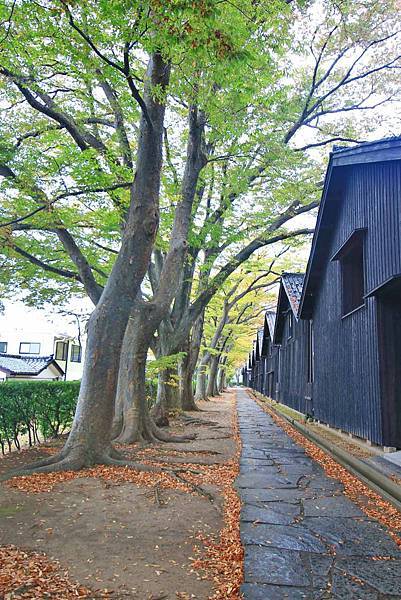 【仙台、山形縣五天四夜自由行程】美食餐廳、在地人文旅遊景點、庭園式景點、河上芭蕉船、輕遊腳踏車、必玩水族館、住宿飯店完整行程規劃懶人包