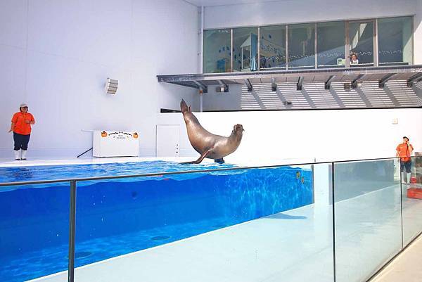 【仙台、山形縣五天四夜自由行程】美食餐廳、在地人文旅遊景點、庭園式景點、河上芭蕉船、輕遊腳踏車、必玩水族館、住宿飯店完整行程規劃懶人包