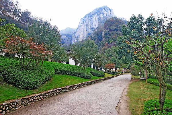 【溫州旅遊】永嘉書院景區-有如山水詩畫般的大自然景觀