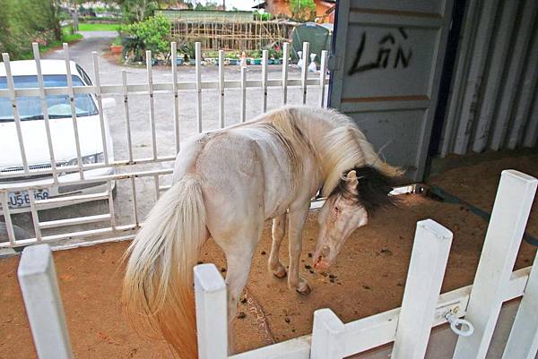 【宜蘭一日遊】在地特色美食與文化風景之旅