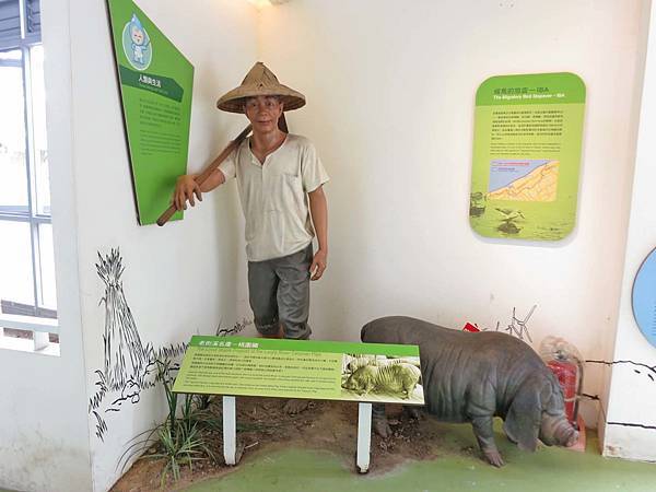 【桃園景點】老街溪河川教育中心-免門票免費玩到飽的超長溜滑梯