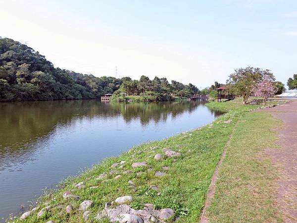 【桃園景點】三坑自然生態公園-隱身在山凹中的美麗湖景