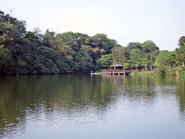 【桃園景點】三坑自然生態公園-隱身在山凹中的美麗湖景