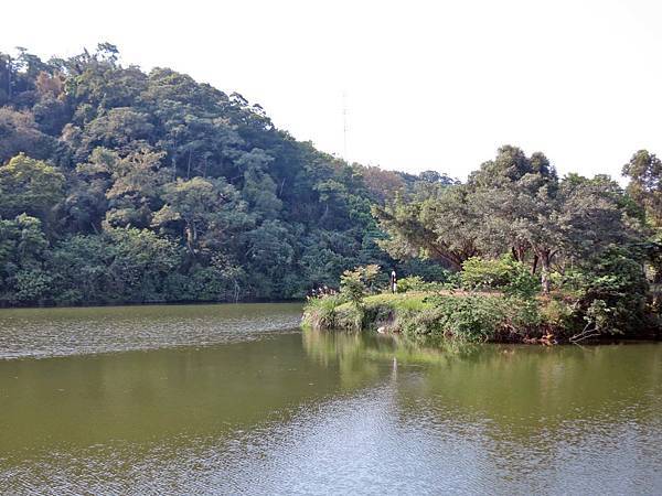 【桃園景點】三坑自然生態公園-隱身在山凹中的美麗湖景