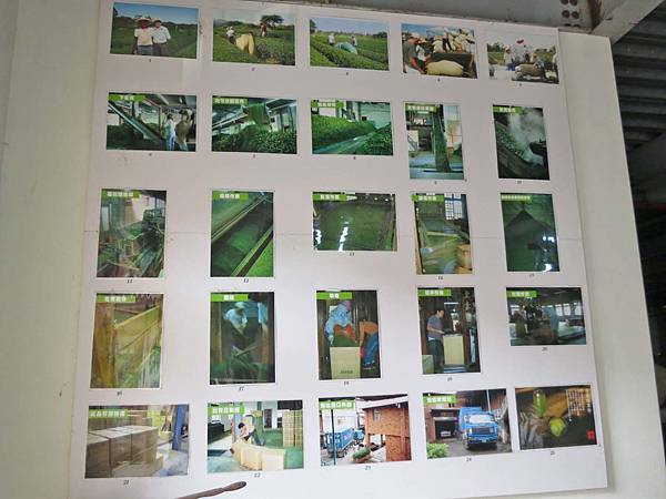 【新竹景點】臺灣紅茶公司-成立近百年的茶葉觀光工廠