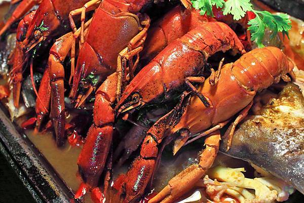 【中和美食】水貨炭火烤魚-一吃停不下手的巨無霸大份量美食! 【中和美食】水貨炭火烤魚-一吃停不下手的巨無霸大份量美食!