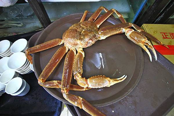 【桃園美食】森日式料理-CP值極高!超豪華日式庭園景觀餐廳 【桃園美食】森日式料理-CP值極高!超豪華日式庭園景觀餐廳