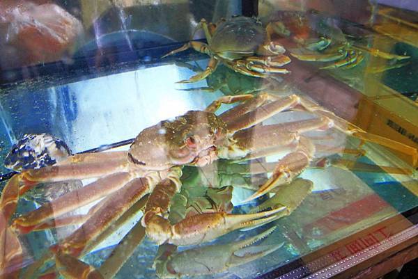 【桃園美食】森日式料理-CP值極高!超豪華日式庭園景觀餐廳 【桃園美食】森日式料理-CP值極高!超豪華日式庭園景觀餐廳