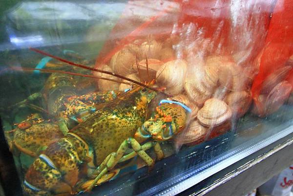 【桃園美食】森日式料理-CP值極高!超豪華日式庭園景觀餐廳 【桃園美食】森日式料理-CP值極高!超豪華日式庭園景觀餐廳