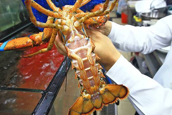 【桃園美食】森日式料理-CP值極高!超豪華日式庭園景觀餐廳 【桃園美食】森日式料理-CP值極高!超豪華日式庭園景觀餐廳