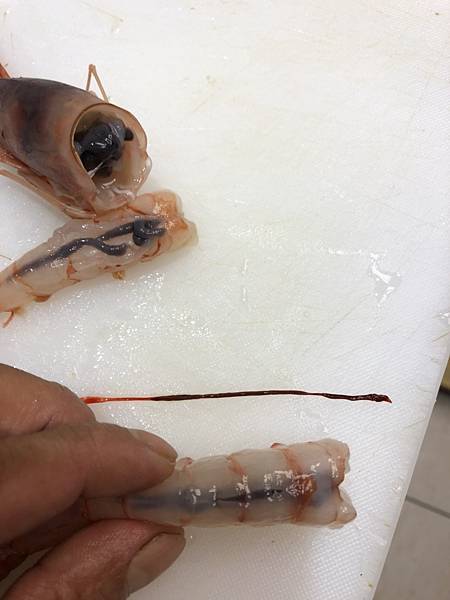 【台北美食】五漁村丼飯屋-食材比一般還要厚一倍以上的巷弄版美食