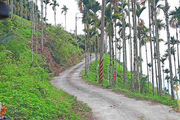 【台東一日遊】永康部落獵人野食餐桌-體驗布農族的傳統美食與文化