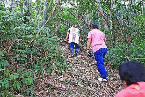 【台東一日遊】永康部落獵人野食餐桌-體驗布農族的傳統美食與文化
