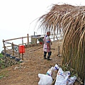 【台東一日遊】永康部落獵人野食餐桌-體驗布農族的傳統美食與文化