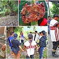 【台東一日遊】永康部落獵人野食餐桌-體驗布農族的傳統美食與文化