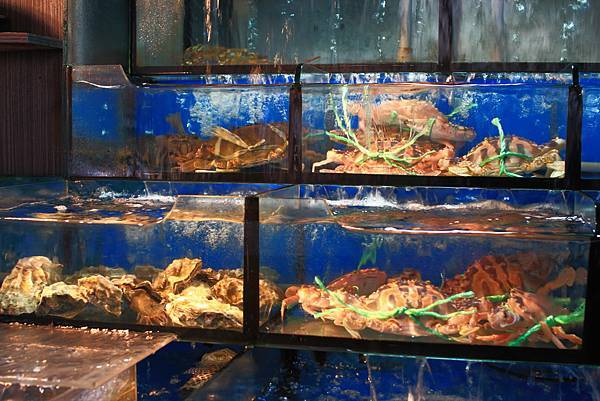 【台北美食】南海漁村-超過數十年的老店！吃了會讓人回味的超大份量炒熱美食