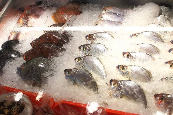 【台北美食】南海漁村-超過數十年的老店！吃了會讓人回味的超大份量炒熱美食