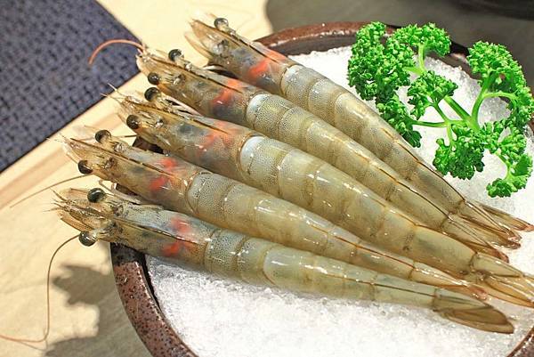 【新竹美食】Umi火鍋水產直賣所-活體龍蝦、鮑魚、貝類海鮮，新鮮海產美味讓你吃的到