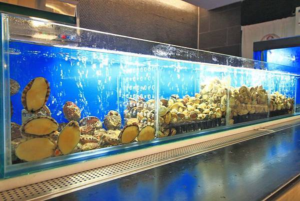 【新竹美食】Umi火鍋水產直賣所-活體龍蝦、鮑魚、貝類海鮮，新鮮海產美味讓你吃的到