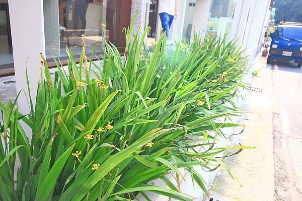 【台中美食】吃茶三千-顛覆你對茶館的印象！品茶、喝茶、做茶及全台第一座室內茶園創新茶館