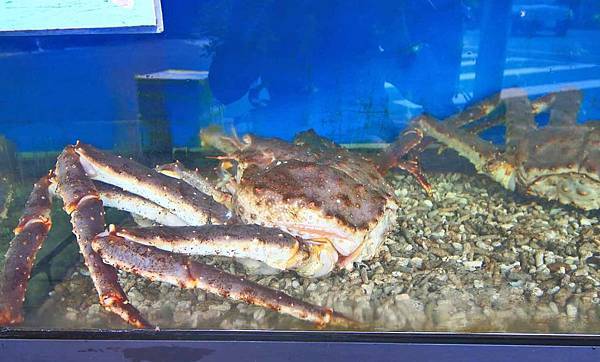 台北中正區美食一日遊-懶人包