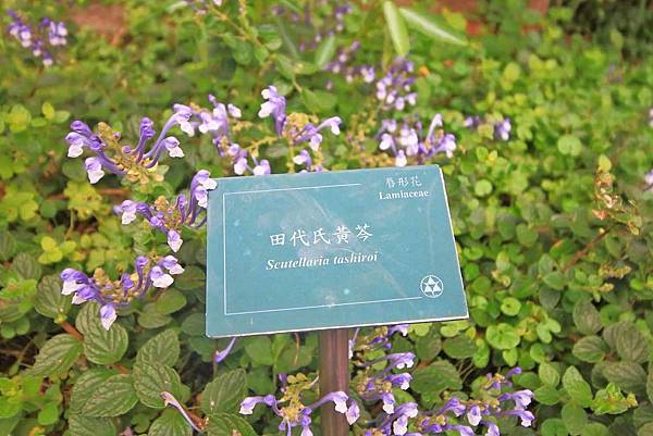 台北中正區美食一日遊-懶人包