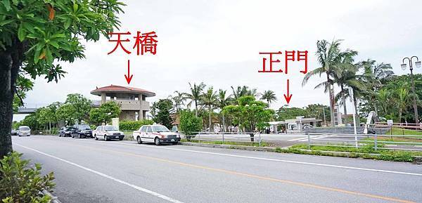 【交通】那霸機場直達美國村、沖繩美麗海水族館交通巴士、公共公車完整介紹無須換車 【交通】那霸機場直達美國村、沖繩美麗海水族館交通巴士、公共公車完整介紹無須換車