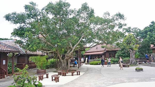 【沖繩景點】沖繩世界文化王國・玉泉洞-長綿數公里的鐘乳石山洞與琉球風景景點