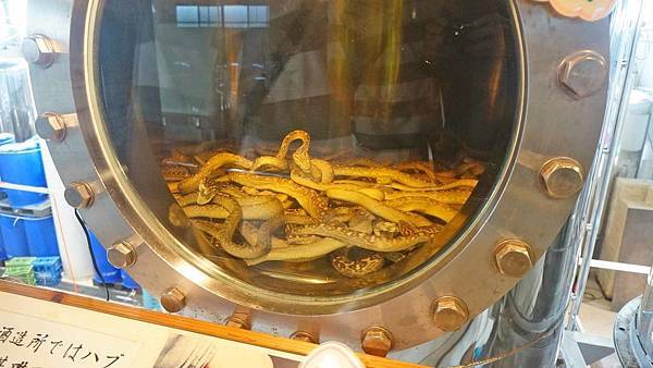 【沖繩景點】沖繩世界文化王國・玉泉洞-長綿數公里的鐘乳石山洞與琉球風景景點