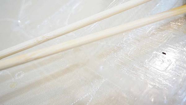 【新竹美食】松竹梅壽司-吃過的人都讚不絕口的高品質花壽司