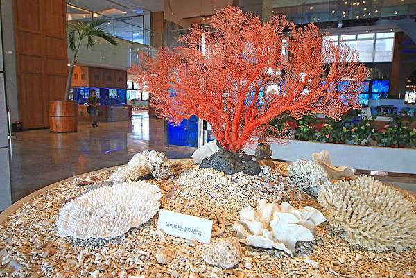 【澎湖飯店】澎湖福朋喜來登酒店-全澎湖唯一一家五星級飯店,超舒適、豪華的設備,讓你住了不想回家