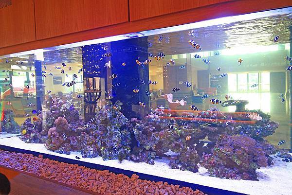 【澎湖飯店】澎湖福朋喜來登酒店-全澎湖唯一一家五星級飯店,超舒適、豪華的設備,讓你住了不想回家 【澎湖飯店】澎湖福朋喜來登酒店-全澎湖唯一一家五星級飯店,超舒適、豪華的設備,讓你住了不想回家