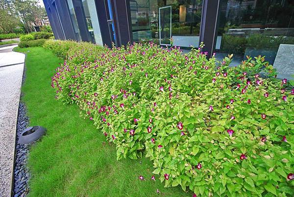 【汐止建案】忠孝大院-千坪莊園，有如大型院園般舒適環境，鄰近火車站5分鐘，生活機能樣樣都方便