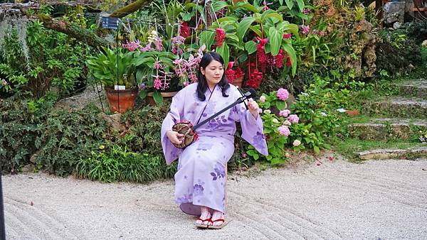 【沖繩美食】Ryukyu Sabo Ashibiuna 琉球茶房-沖繩在地料理的庭園式餐廳