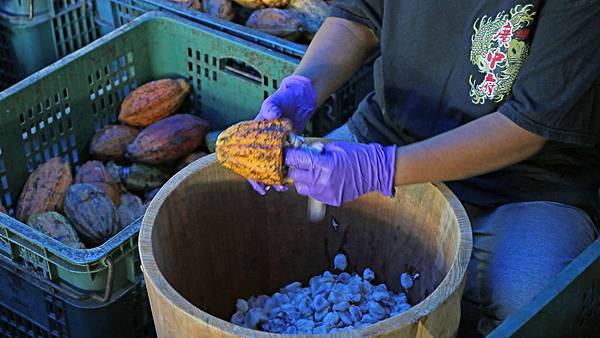 屏東旅遊！二天一夜必玩、必逛、必吃在地人推薦好玩景點、隱藏版老店美食、絕無僅有的旅遊景點-懶人包