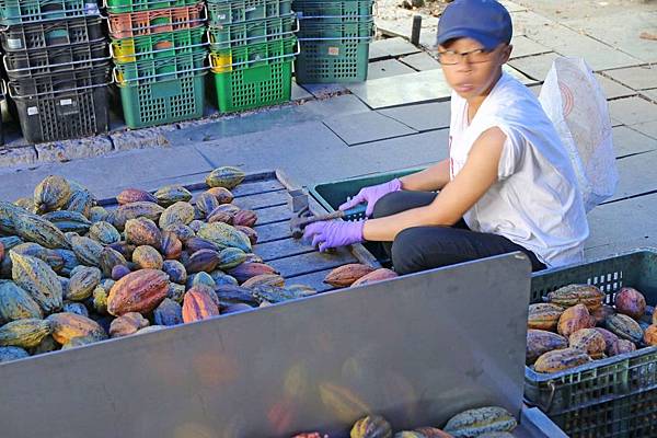 屏東旅遊！二天一夜必玩、必逛、必吃在地人推薦好玩景點、隱藏版老店美食、絕無僅有的旅遊景點-懶人包
