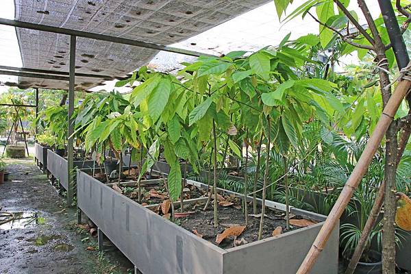 屏東旅遊！二天一夜必玩、必逛、必吃在地人推薦好玩景點、隱藏版老店美食、絕無僅有的旅遊景點-懶人包