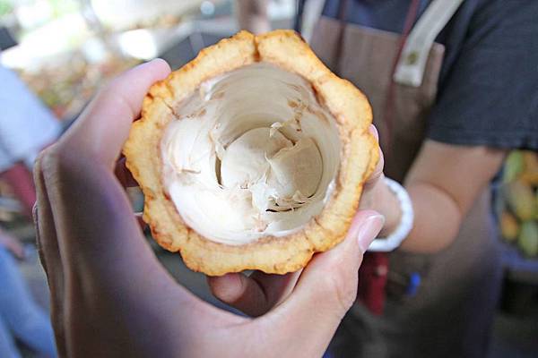 屏東旅遊！二天一夜必玩、必逛、必吃在地人推薦好玩景點、隱藏版老店美食、絕無僅有的旅遊景點-懶人包