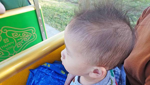 【三重景點】大都會公園希望小火車，假日限定！親子旅遊必玩小火車景點，真實體驗完整介紹，購票地點、攻略完整一次介紹