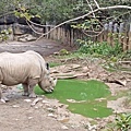 【台北景點】台北市立動物園-逛一整天也逛不完的必去景點！大朋友小朋友最適合的親子旅遊