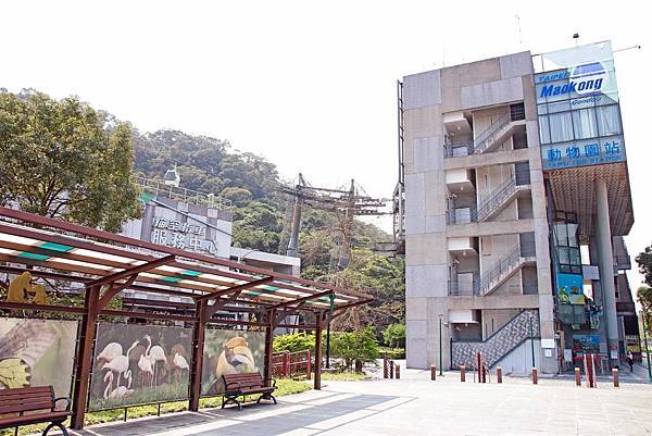 【台北必玩一日遊行程！】台北動物園+貓空纜車+通化夜市-國內外最受歡迎必玩好玩的台北旅遊景點