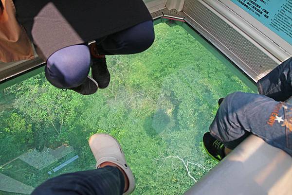 【台北必玩一日遊行程！】台北動物園+貓空纜車+通化夜市-國內外最受歡迎必玩好玩的台北旅遊景點