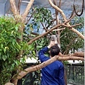 【台北必玩一日遊行程！】台北動物園+貓空纜車+通化夜市-國內外最受歡迎必玩好玩的台北旅遊景點