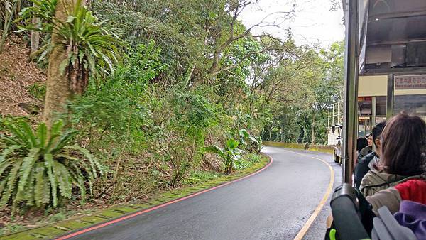 【台北必玩一日遊行程！】台北動物園+貓空纜車+通化夜市-國內外最受歡迎必玩好玩的台北旅遊景點