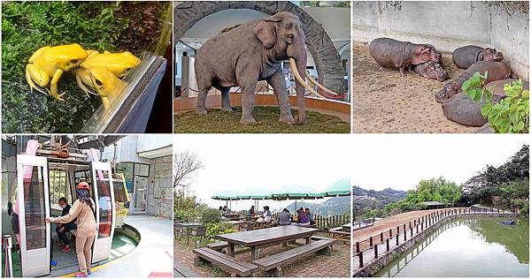 【台北必玩一日遊行程!】台北動物園+貓空纜車+通化夜市-國內外最受歡迎必玩好玩的台北旅遊景點 【台北必玩一日遊行程!】台北動物園+貓空纜車+通化夜市-國內外最受歡迎必玩好玩的台北旅遊景點
