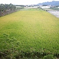 【美濃住宿】美濃田中央民宿-四面環山農田環繞有如住入農家的舒適休閒民宿