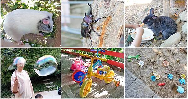 【台北景點】桃樂絲森林(穀興農場)-隱身在山凹之中免門票好玩又有趣的親子旅遊景點 【台北景點】桃樂絲森林(穀興農場)-隱身在山凹之中免門票好玩又有趣的親子旅遊景點